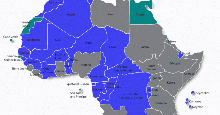 How France continues to Wield Power over Africa