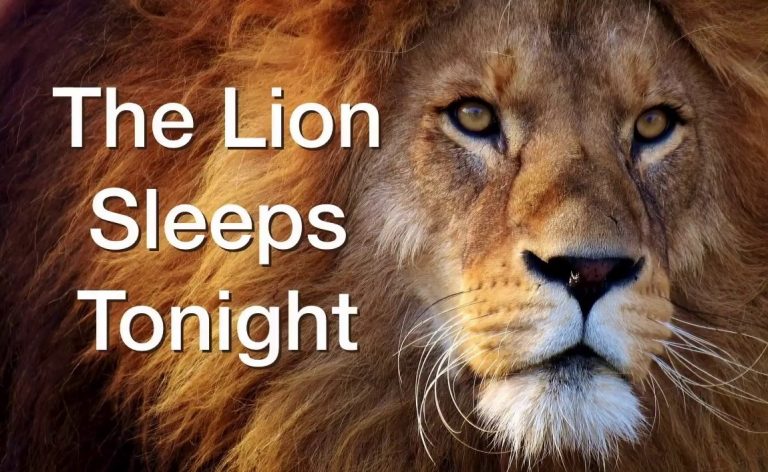 The Lion Sleeps Tonight – Songwriter did not get his due.