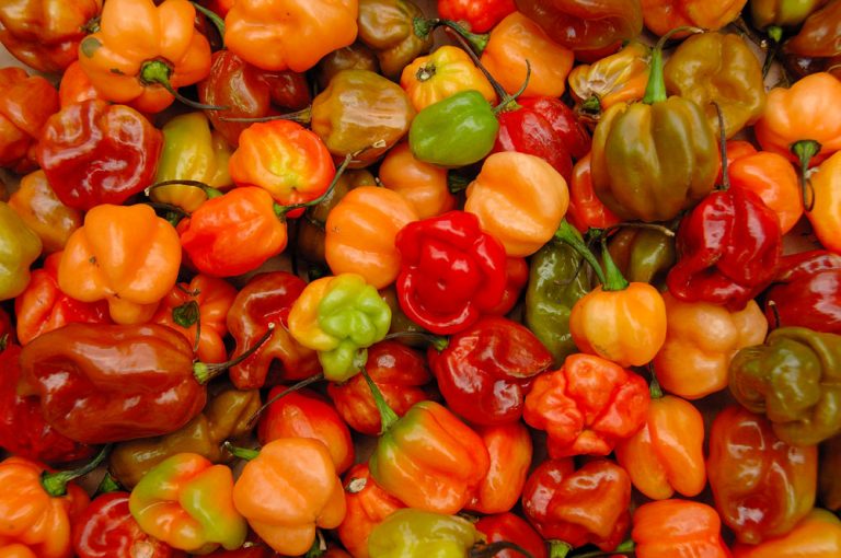 Caribbean Scotch Bonnet Is So ‘Hot’ That Suppliers Are Struggling To Meet Demand