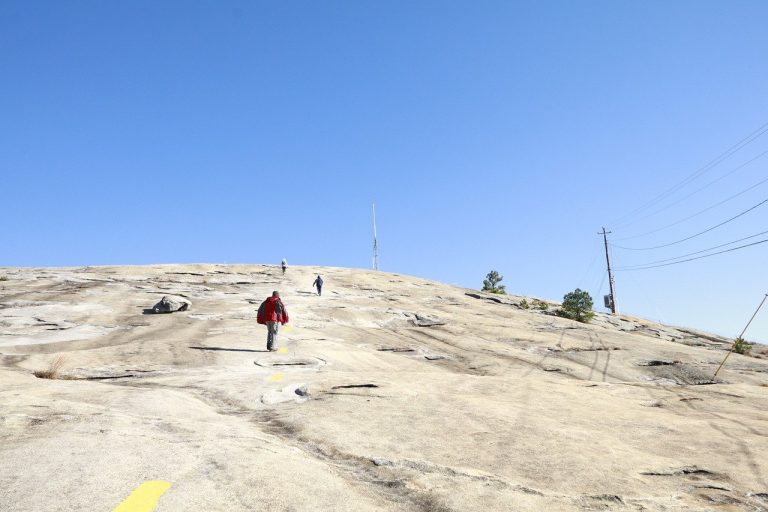 Race Report – Response and Determination Statement