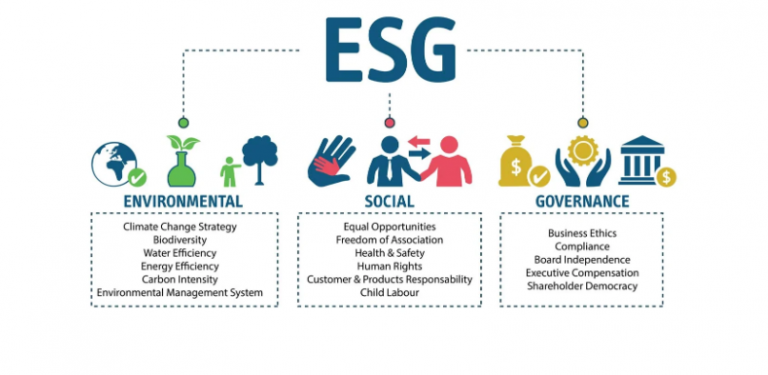 Why Are So Many Businesses Choosing To Become Sustainable?